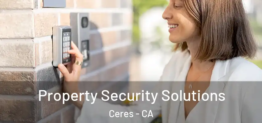  Property Security Solutions Ceres - CA